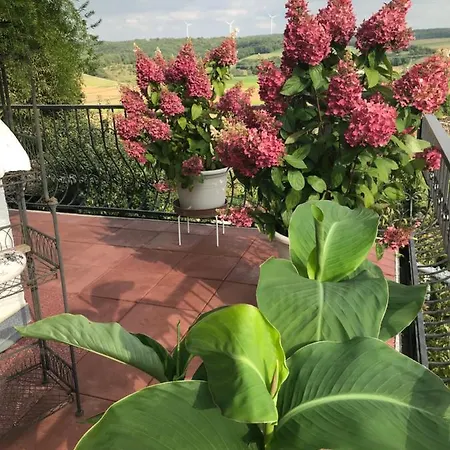 בית הארחה Haus Buena Vista 4*