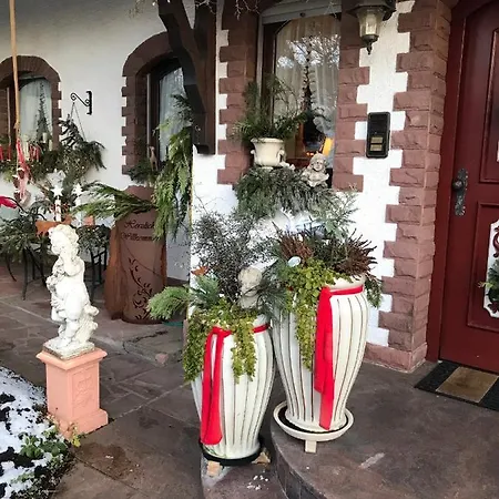 בית הארחה Haus Buena Vista באד קיסינגן