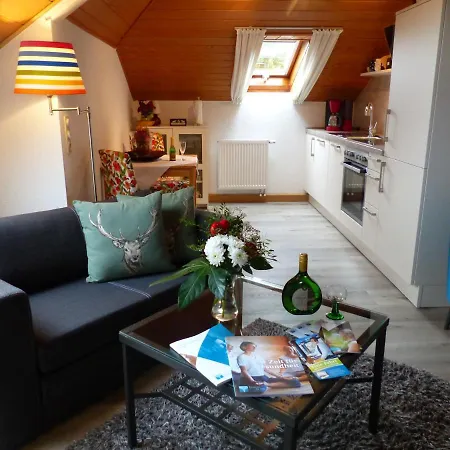 Haus Buena Vista 4*
