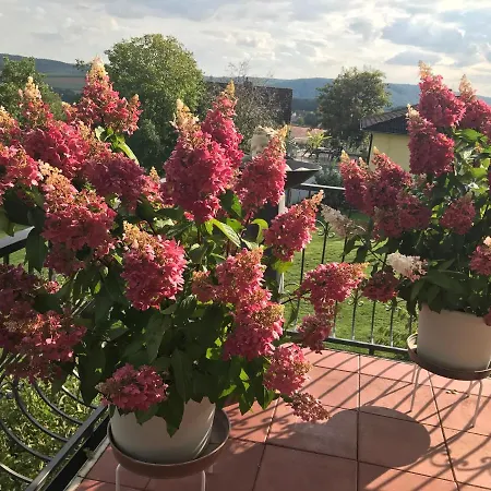 Haus Buena Vista Penzion Bad Kissingen