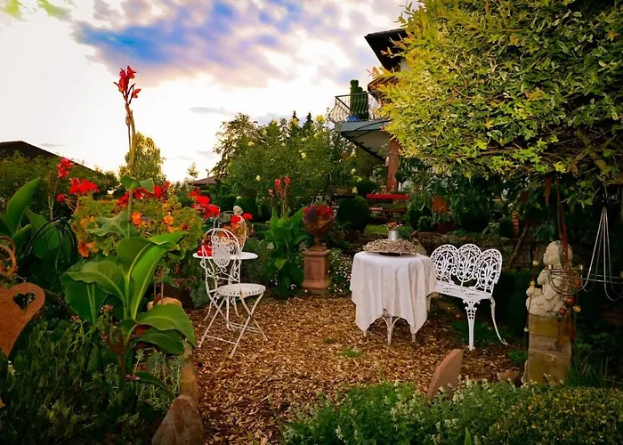 Haus Buena Vista 4*